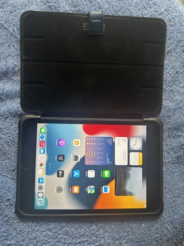 Apple ipad mini - 128, go