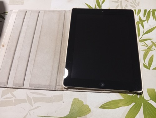 Apple ipad - go,